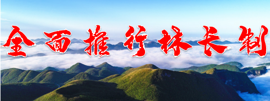 全面推行林長制