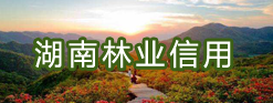 湖南林業信用