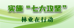 實施“七大攻堅” 林業在行動